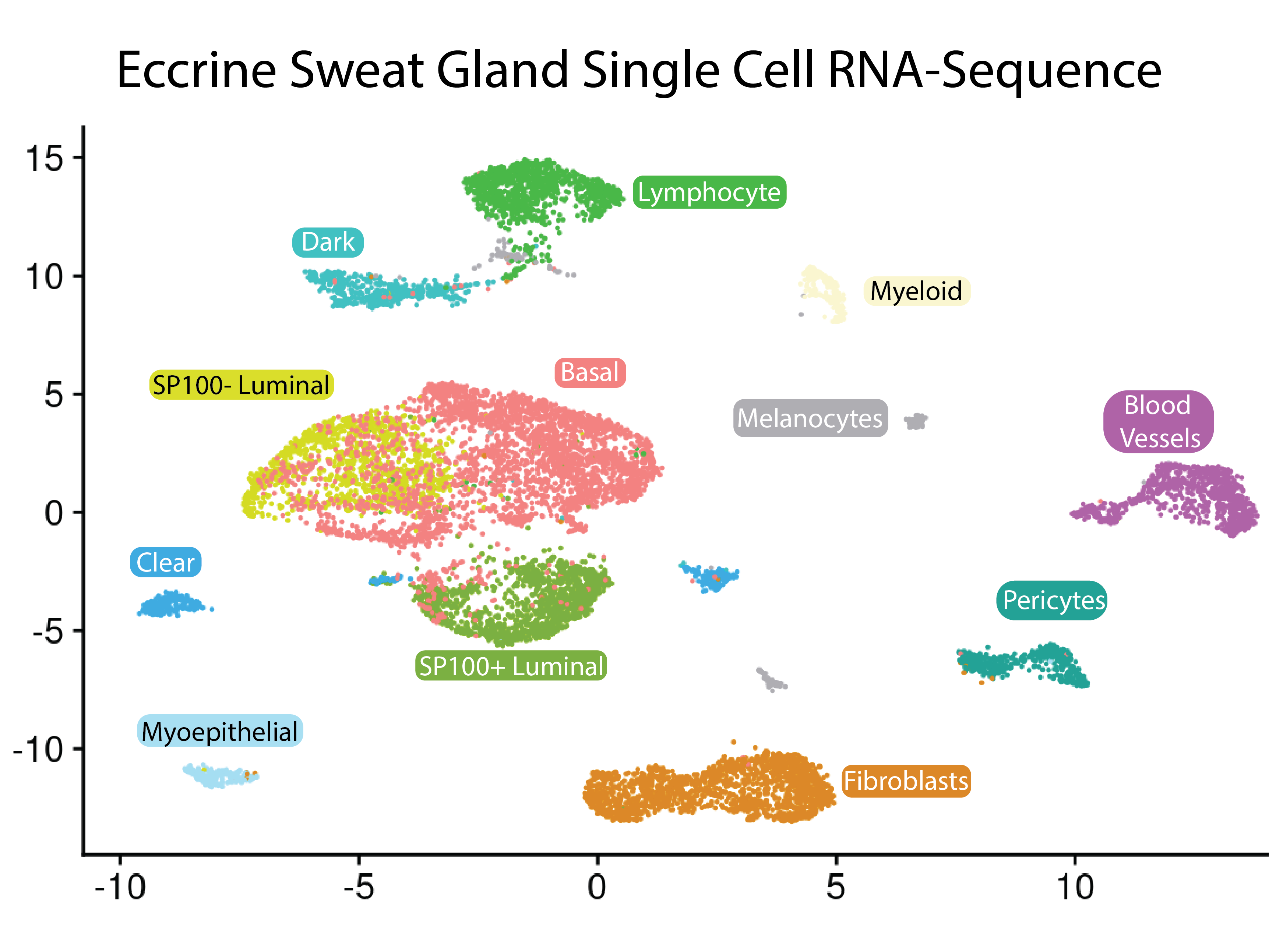 Cell type expression plot of Human Eccrine Sweat Gland
