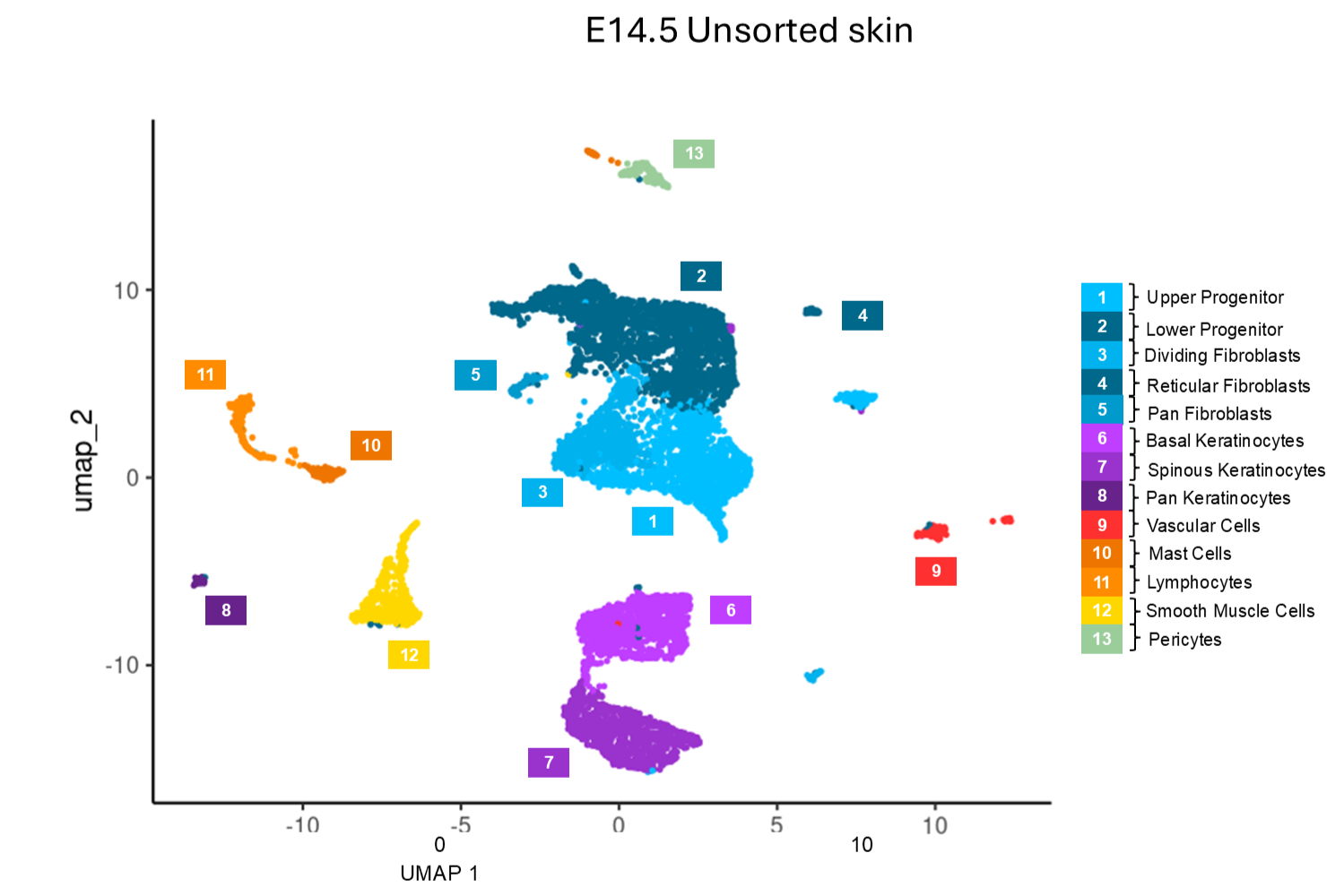 Cell type expression plot of e14.5 Unsorted Skin