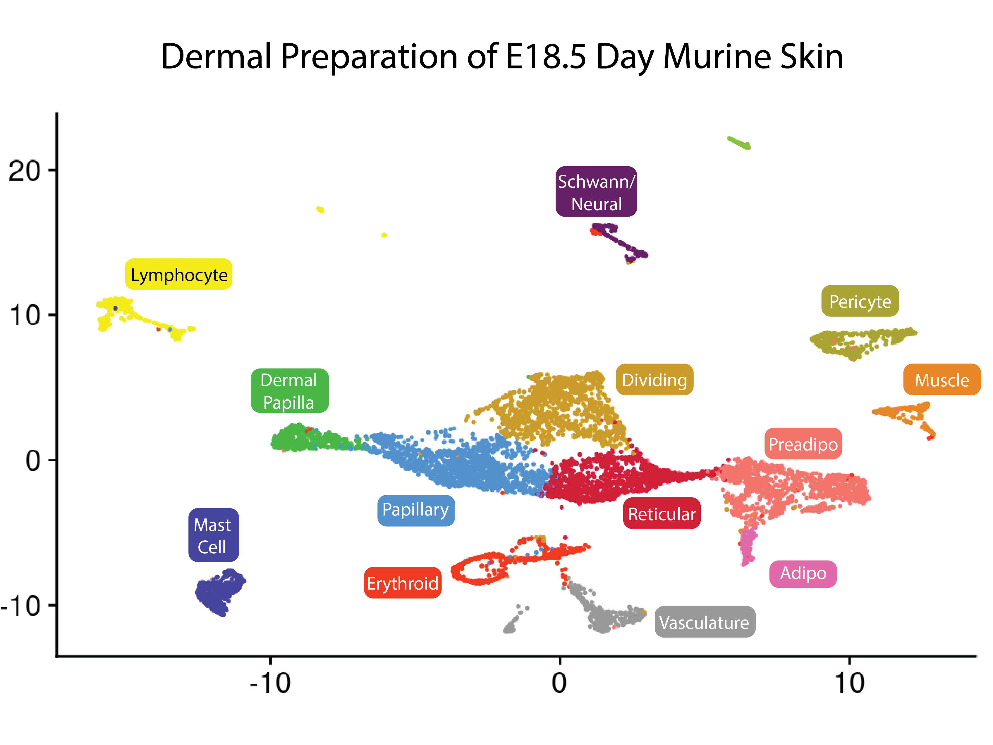 Cell type expression plot of E18.5 Murine Skin