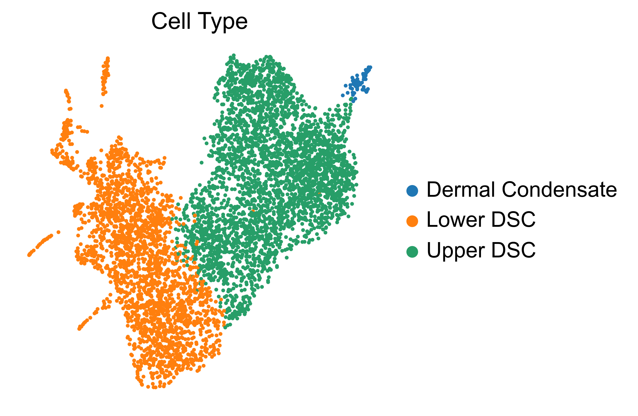 kdm6b-E14 RNA celltype UMAP