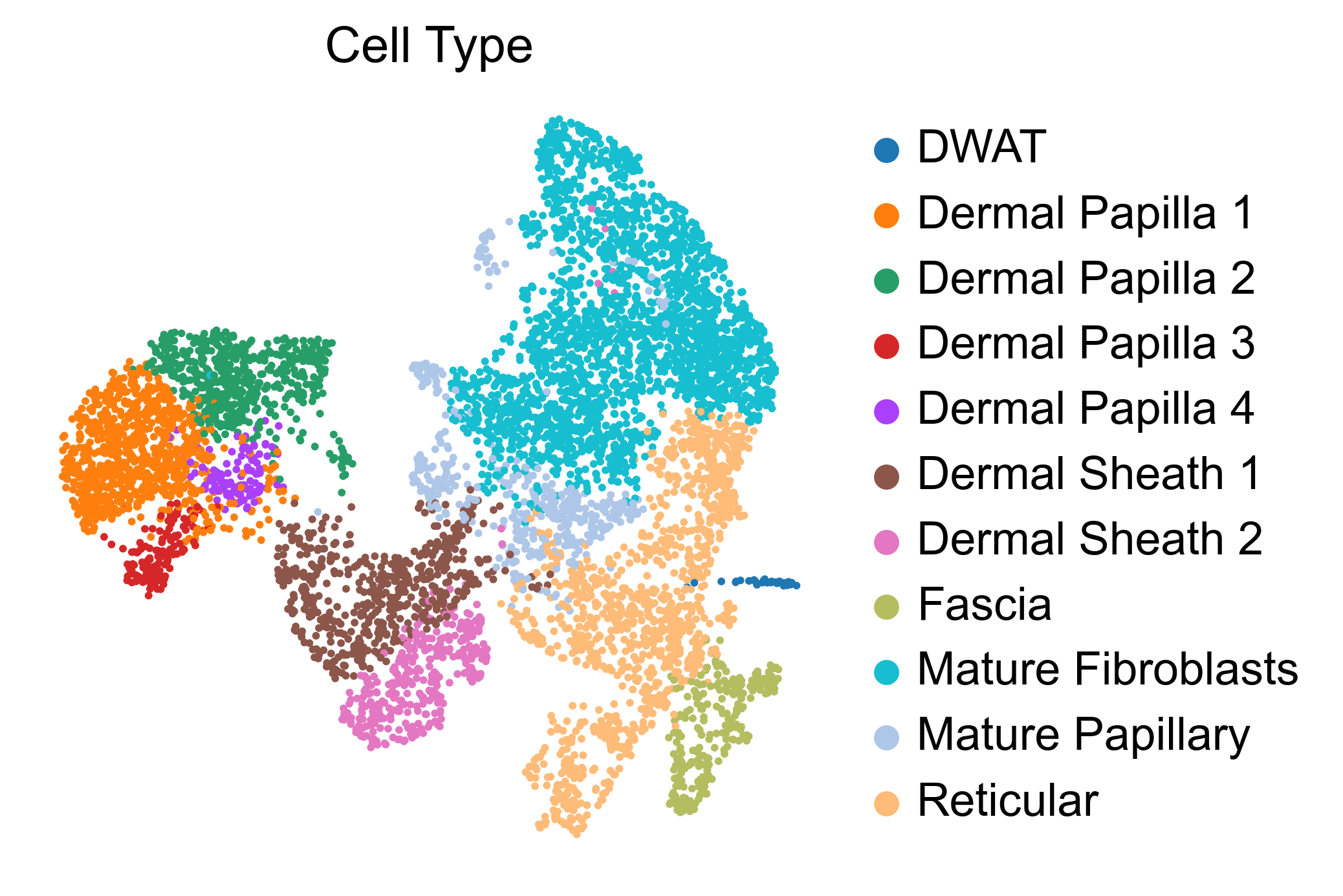 kdm6b-P5 RNA celltype UMAP