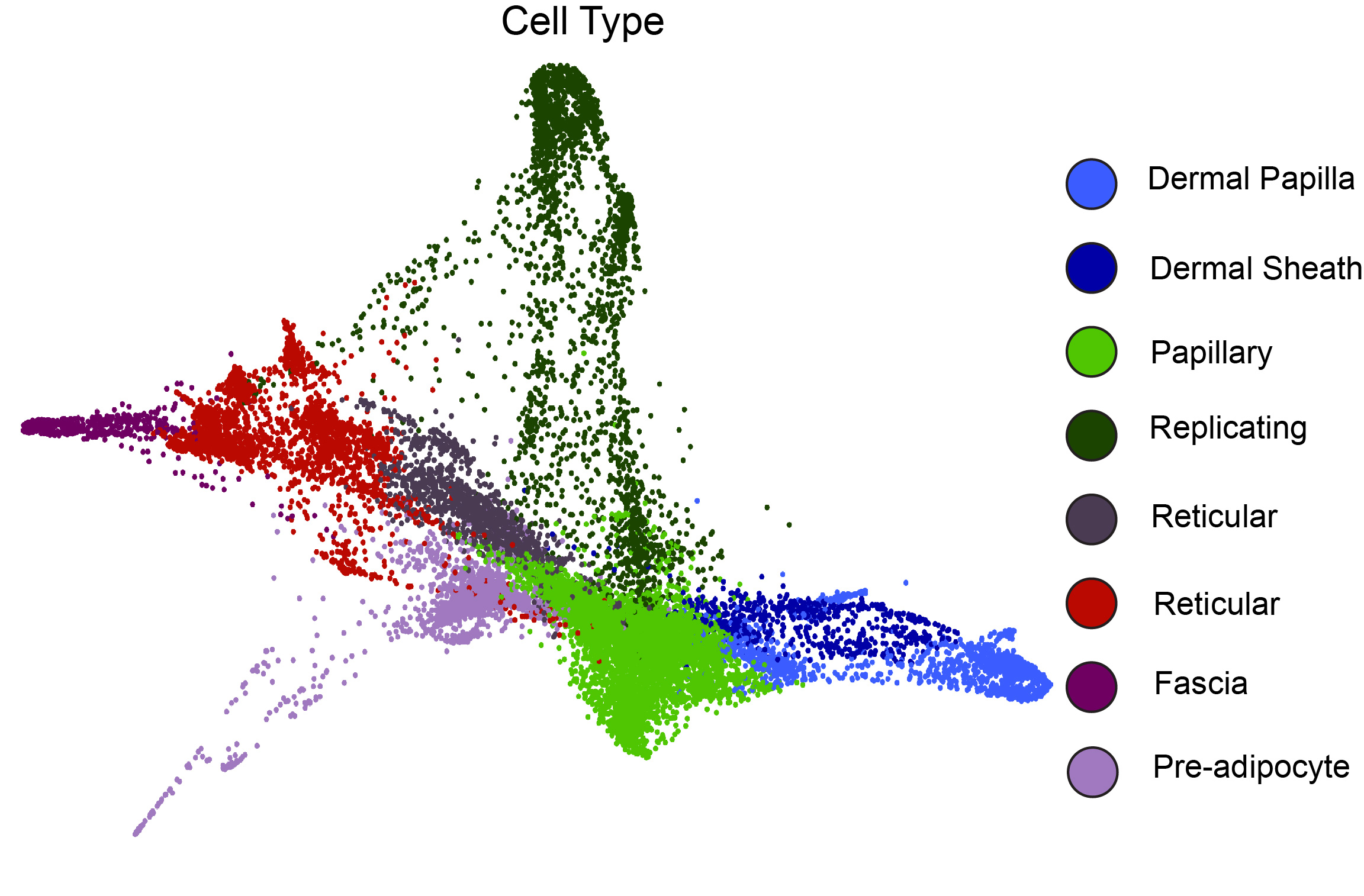 kdm6b celltype UMAP