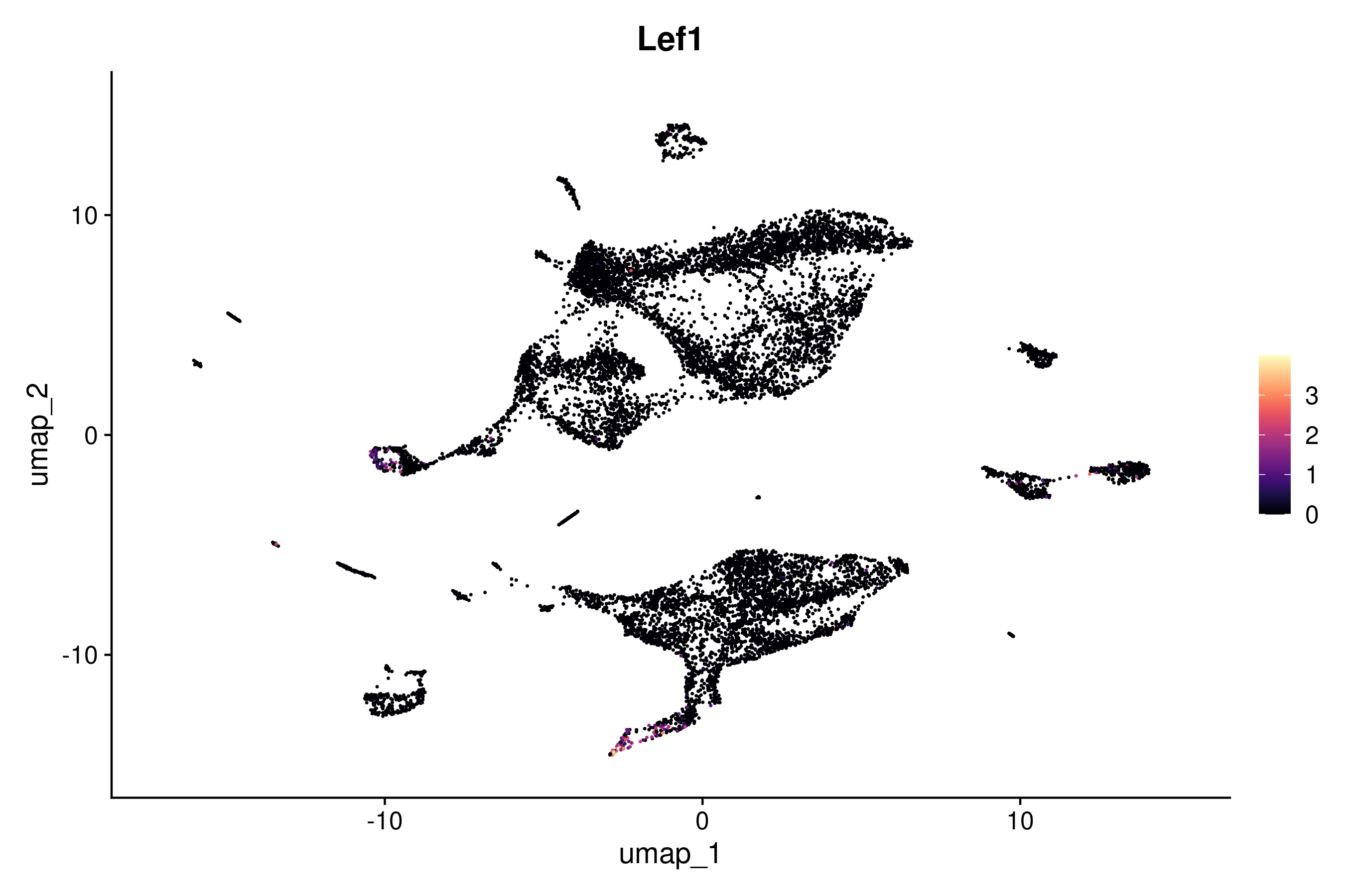 Cell type plot of 7 week Unwounded