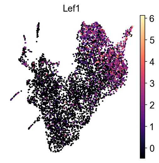 kdm6b-E14 LEF1 RNA UMAP expression plot