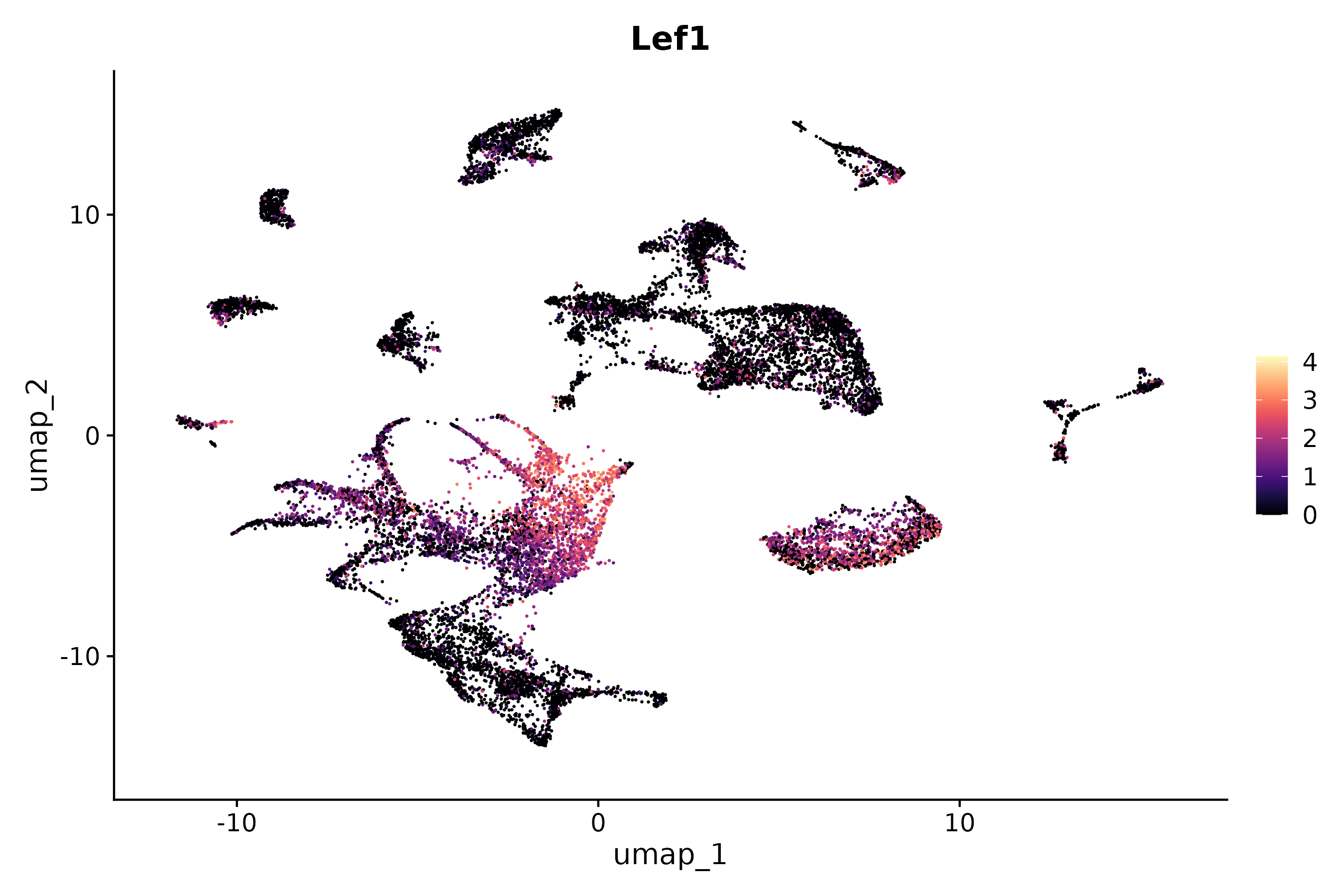 Cell type plot of P5 unsorted skin