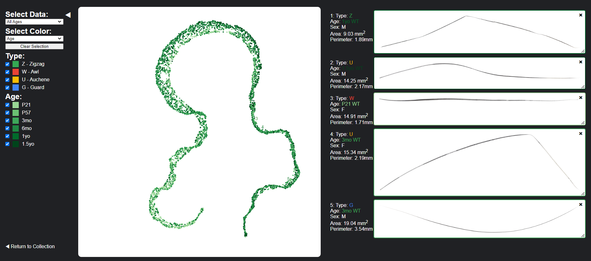 interactive umap