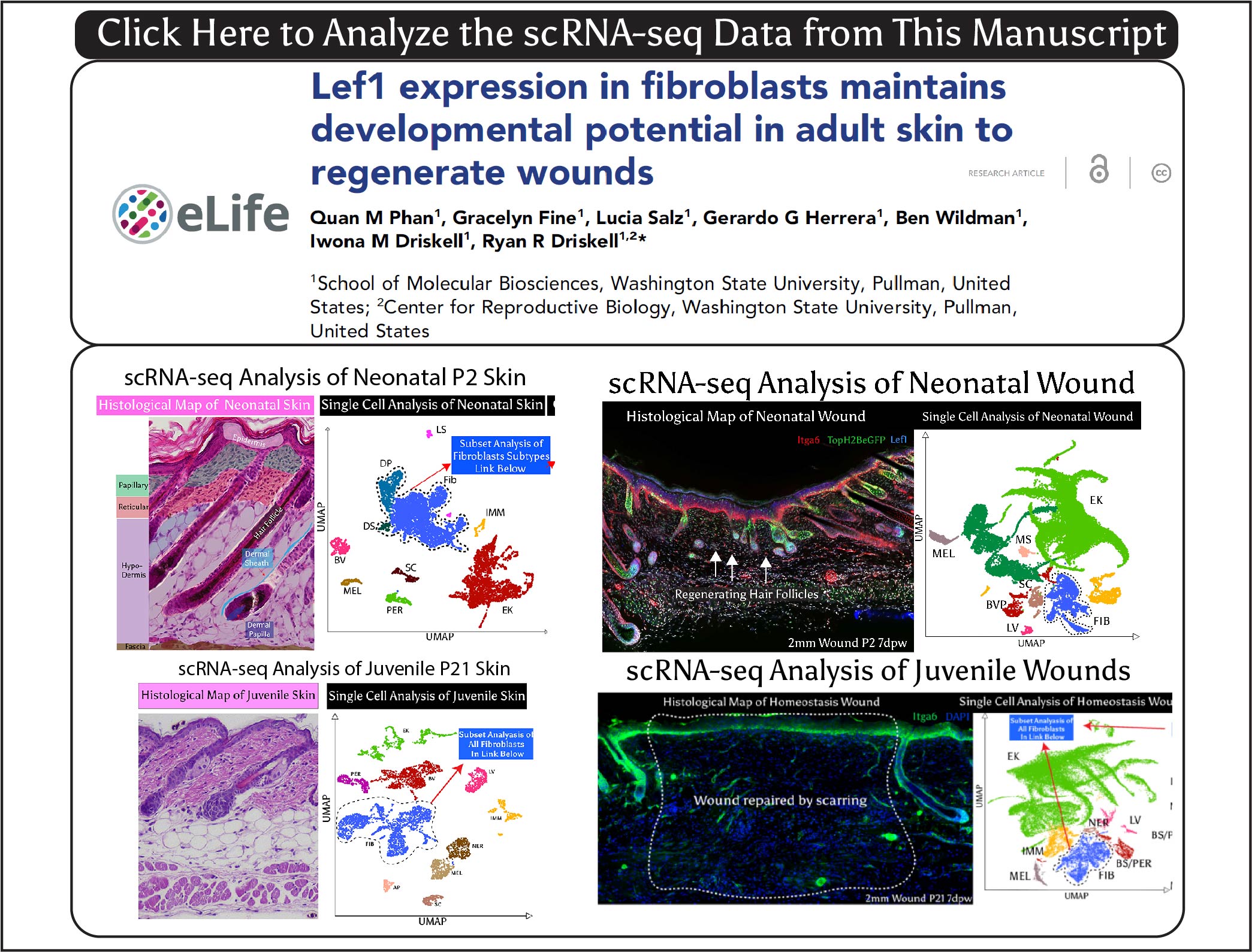 Elife journal cover